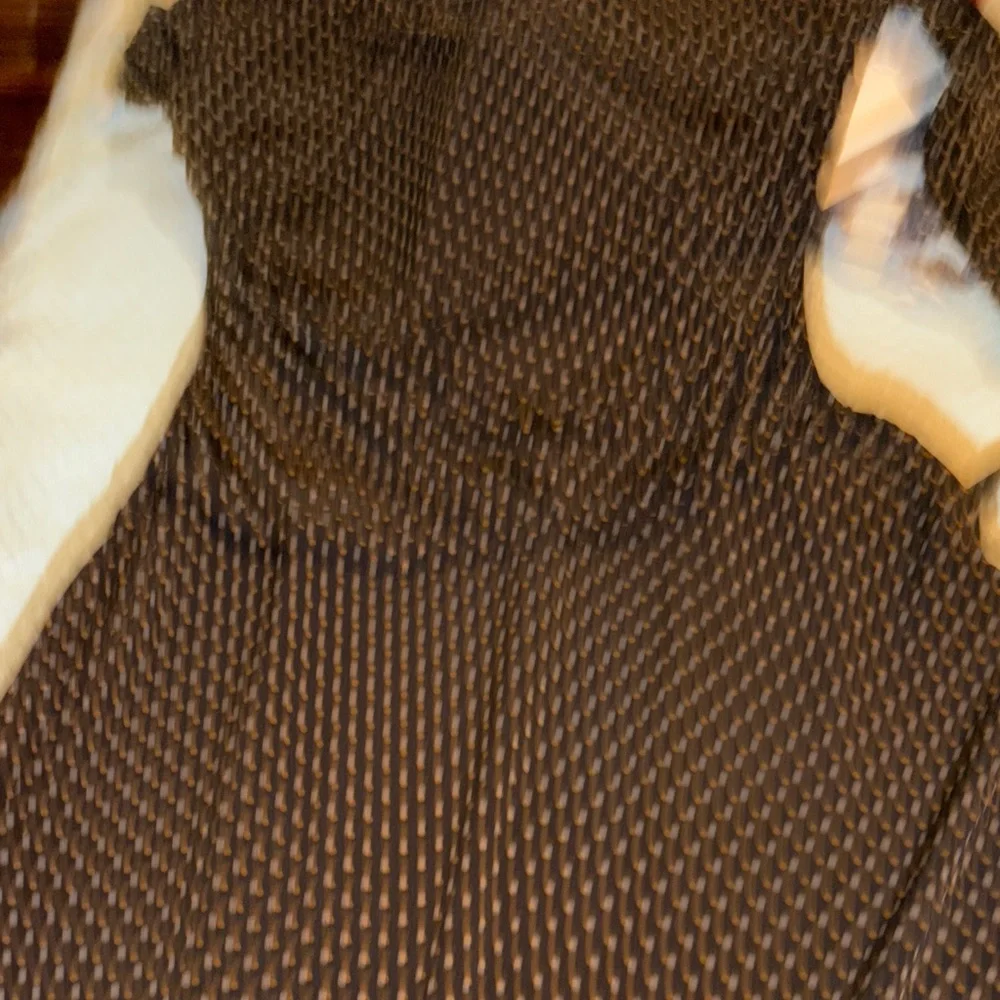 Black and Tan Polka Dot Dress - Picture 2 of 4